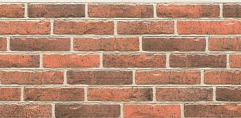 Фиброцементная панель EF492 (16*455x1010)